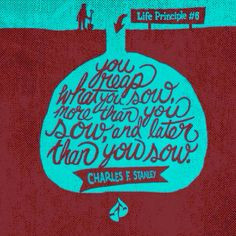 Charles Stanley - life principle #6 More