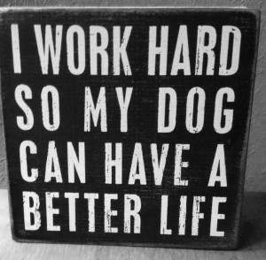 work hard so my dog can have a better life. Thanks Mari!
