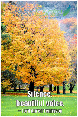 SILENCE QUOTES