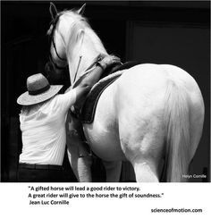 horse more riding quotes gift horses hors wisdom exquisite equine ...