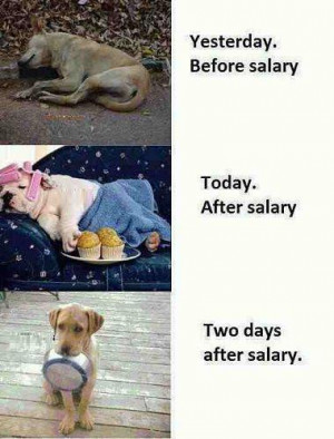Funny Salary Pictures, Jokes, Quotes, images Scraps, Funny dog ...