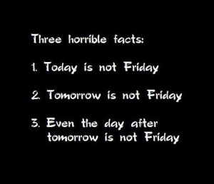 funny cat pic of the day funny monday quote lol