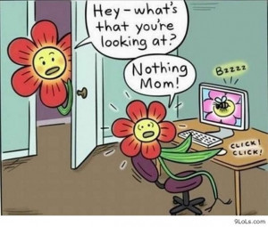 Funny Easter Cartoons