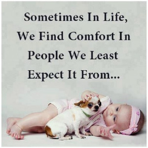 Sometimes In Life We Find Comfort In People We Least Expect It From...