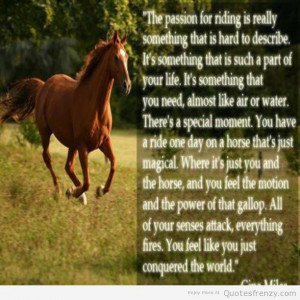 Horse Riding Quotes