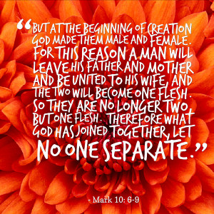 Spiritual Love Connection Quotes