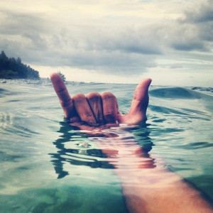 surfing hawaii Shaka