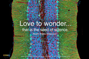 Love to wonder… Great Quotes by EyeWire