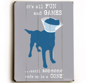 It’s all fun and games until someone ends up in a cone.” Funny dog ...