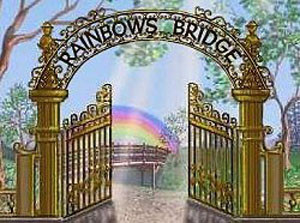 Dog Poem Rainbow Bridge gate