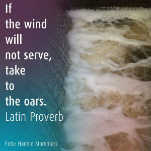 Take the oars - #dailyintention #quote