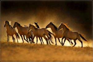 File Name : w9ennn.jpg Resolution : 500 x 334 pixel Image Type : png ...