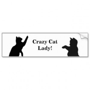 CRAZY CAT LADY Fun Quote for Cat Lovers Car Bumper Sticker
