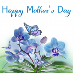 Happy Mothers Day On Spring Flowers Card A