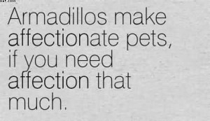 Armadillos Make Affectionate Pets, If You Need Affection That Much ...