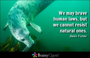 Brave Quotes
