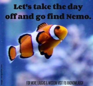 Find nemo quote via www.Facebook.com/AndNowLaugh