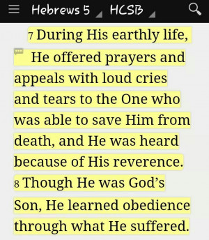 Pinned by Kristian White