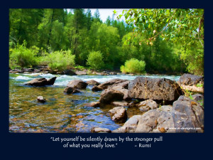 Posted by Evolution at 12:38 AM