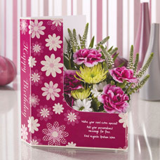 Portuguese Birthday Card