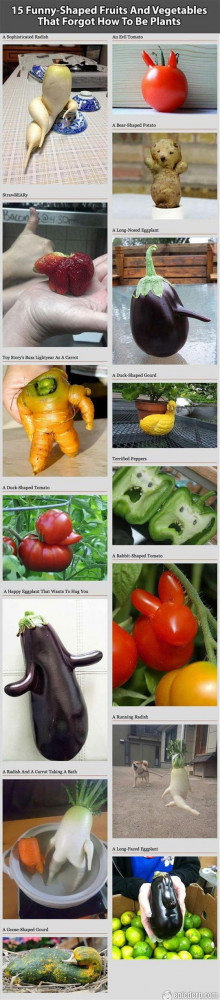 The post Fruits And Vegetables That Forgot How To Be Plants. appeared ...