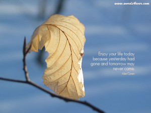 Friends are born, not made – Henry Adams