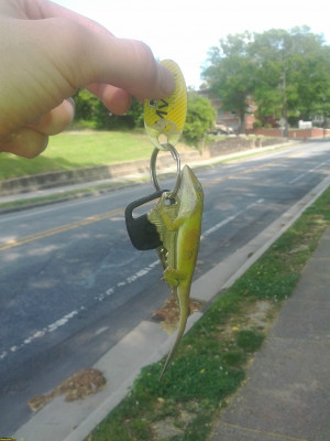 New Hair Style Funny Picture