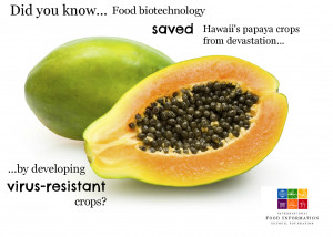 Displaying 20> Images For - Examples Of Proteins In Food...