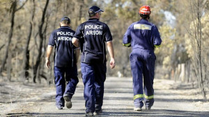 Clifton following the devastating bushfire Picture Daniel Wilkins