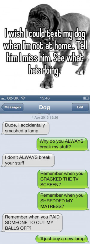 If I Could Text My Dog