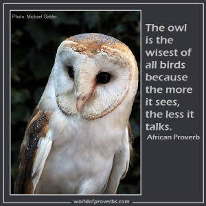 World of Proverbs - Famous Quotes: The owl is the wisest of all birds ...