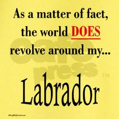 Mens T-Shirts – Labradors Worldwide Store