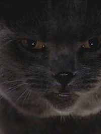 smokey how you doing you must be stuart stuart little actually i must ...