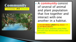 Thursday, May 5, 2011