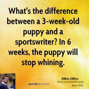 ... old puppy and a sportswriter? In 6 weeks, the puppy will stop whining