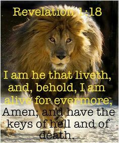 The Lion Of Judah~~ More