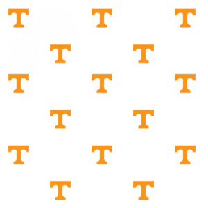 Univ of Tennessee Volunteers - Set of 2 Wallpaper Rolls