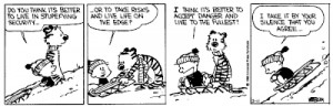 Calvin and Hobbes cartoon about sledding