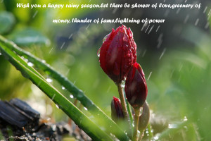 Monsoon Rain with quote wallpaper