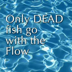 Only dead fish go with the flow More