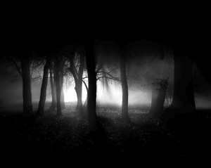 Dark-Forest-the-dark-side-of-everything-5587682-1023-818.jpg