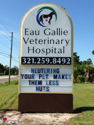 ... funny veterinarian sign, funny vet sign, funny, vet, sign, vet