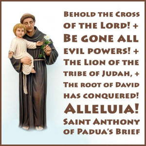 Little Plant of St. Francis