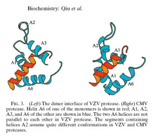 Revenge Quotes For Girls · Bella Hadid Style · Beaches The Movie ...