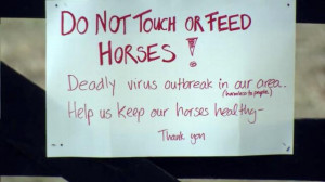 Rare horse virus affecting animals in central NC NC Department of ...