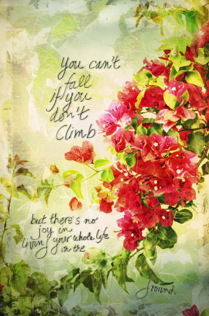 Vintage Bougainvillea With Inspirational Quote Photograph