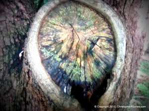 Must Believable Quotes Home...