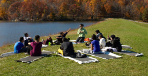 Crew Orientation: Participant Quotes