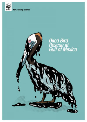 Rescue the oiled bird animal at gulf of mexico