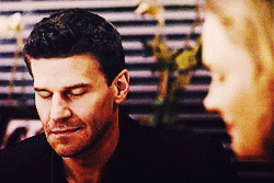 Booth-seeley-booth-25310015-250-167.gif?1360861054842